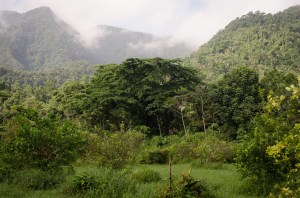 View of the Maya Mountains from TREES