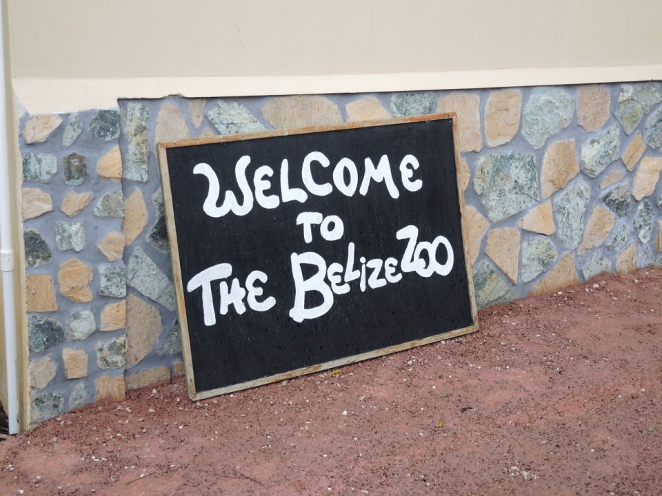 Temporary Welcome Sign at the Belize Zoo.