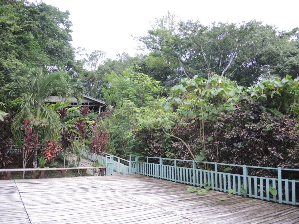 Main deck at Maya Mountain Lodge.