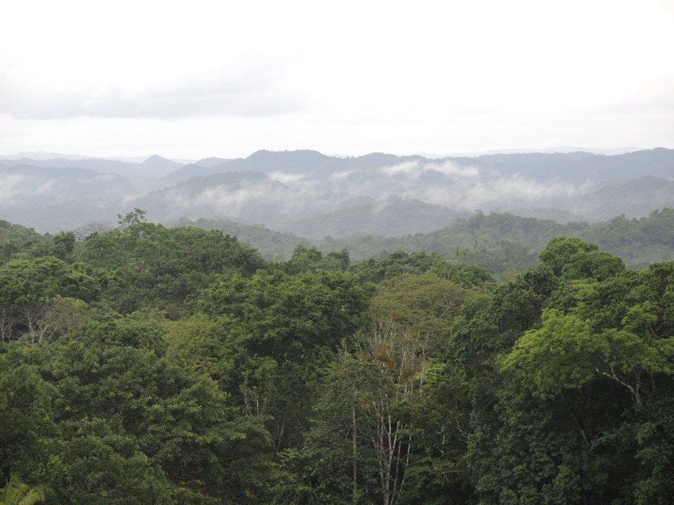 Maya Mountains