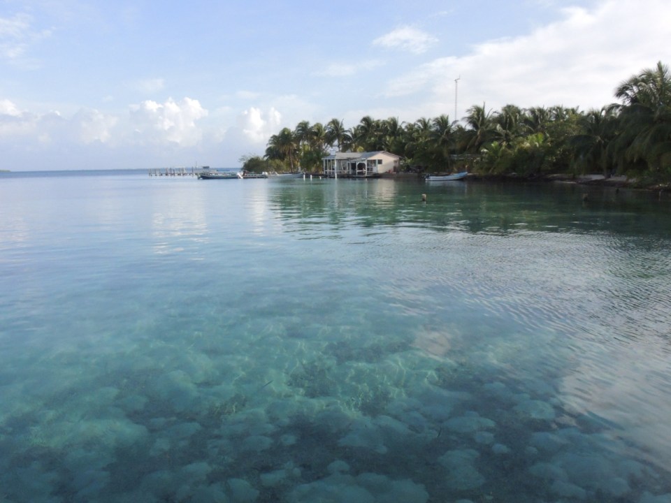 Looking north on South Water Caye.