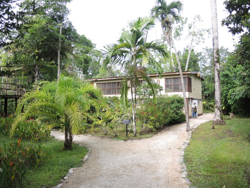 Main commons at the Tropical Education Center.