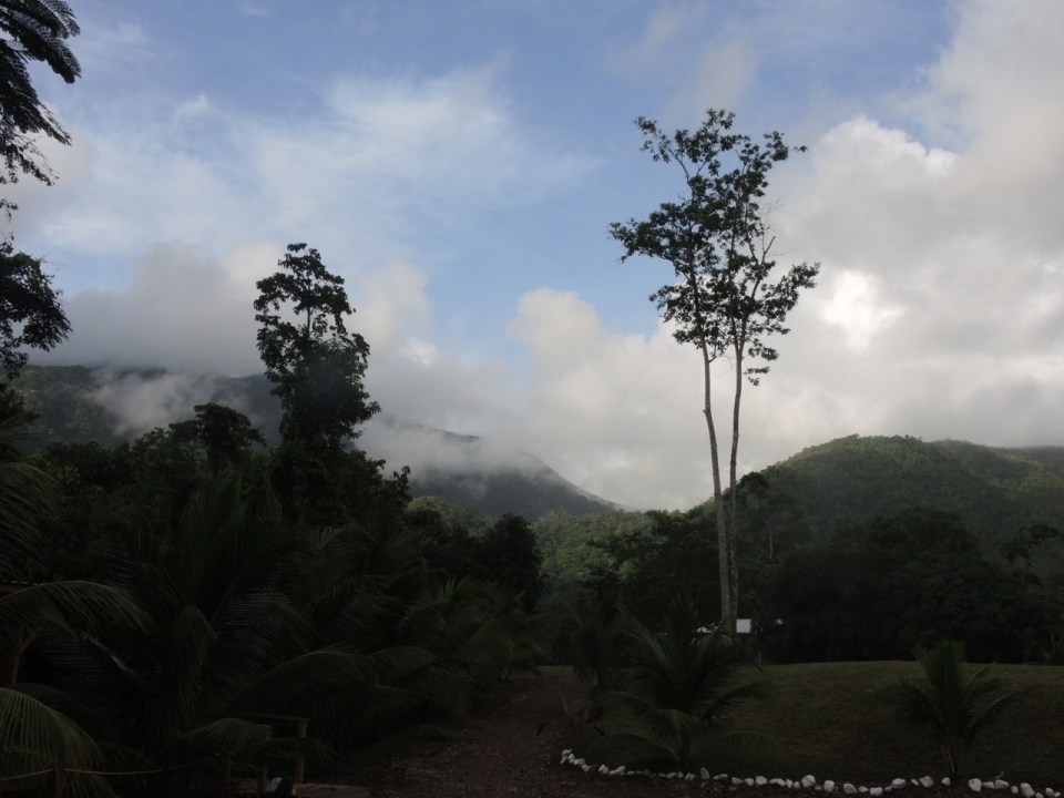 View of the Maya Mountains from TREES.