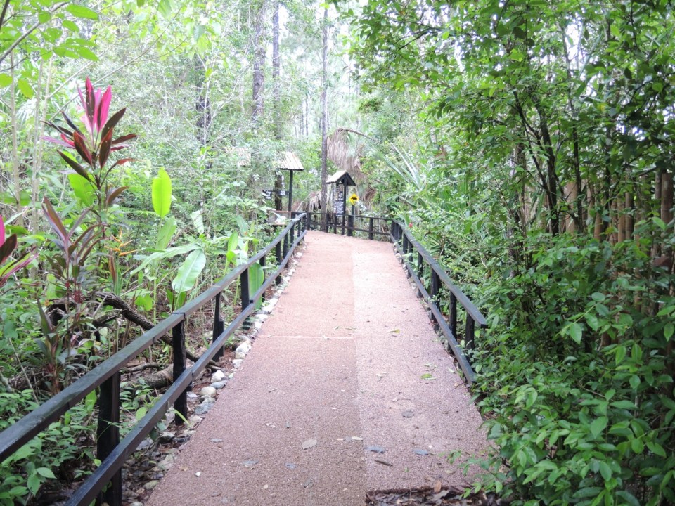 One of the new pathways at the zoo.