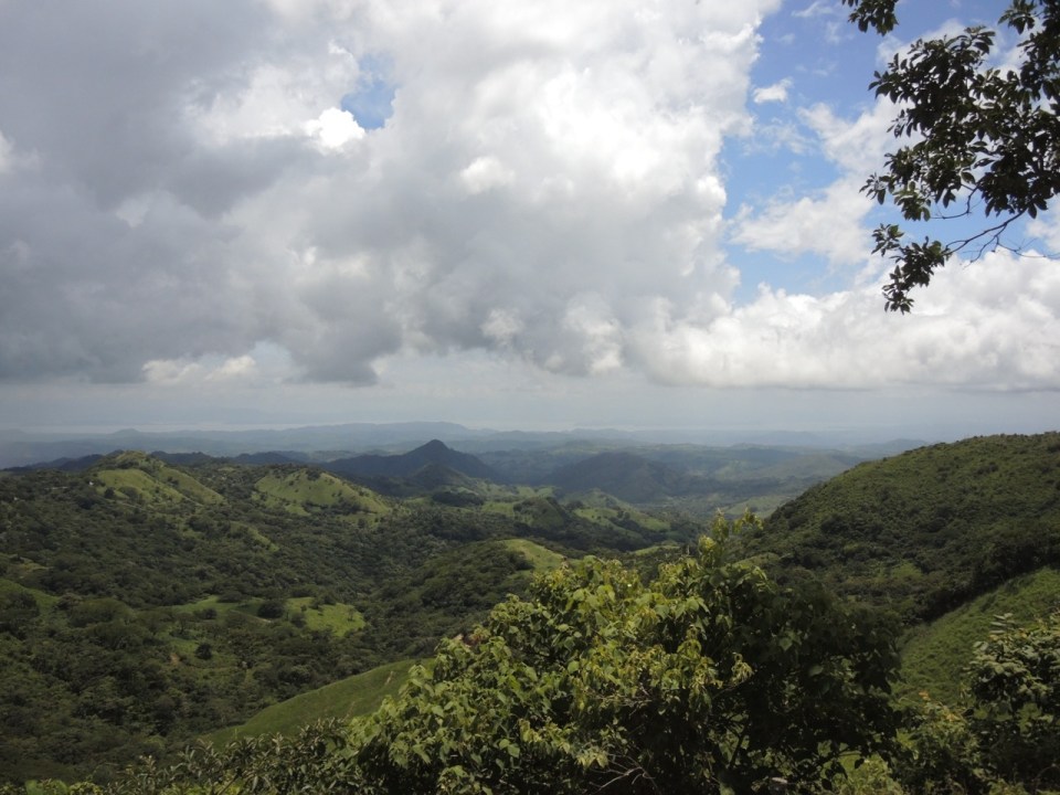 Coffee Growing Region