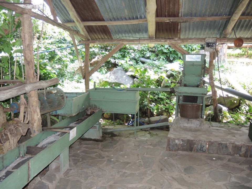 The coffee washer and pitter that Sr Badilla built.