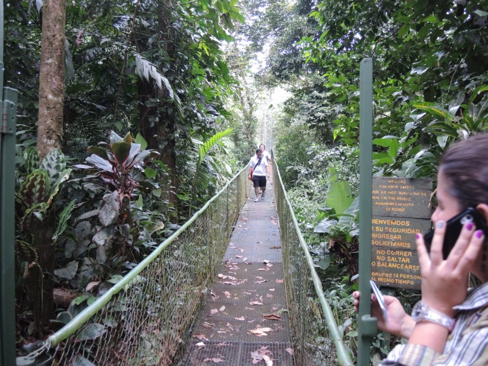 The suspension bridge at La Selva Verde.