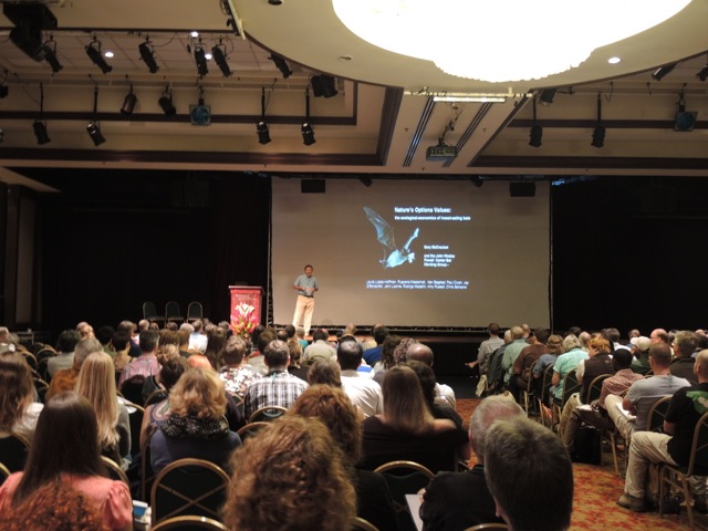 One of the main lecture halls at the meeting...here, Dr. Gary McCracken is giving his talk.