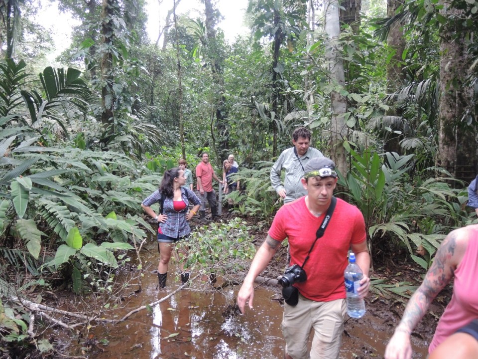 Net Setting Location 2