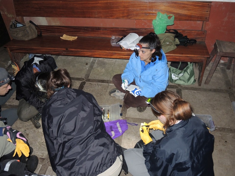 Here Raquel is measuring the forearm length of her bat.
