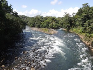 Suspension bridge over the Sarapiqui River.