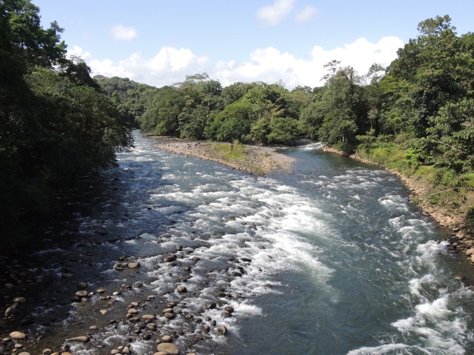 Suspension bridge over the Sarapiqui River.