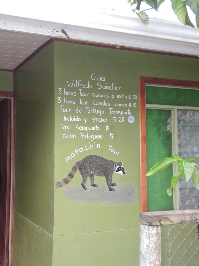 One of the many guiding businesses in Tortuguera...I liked the raccoon on the sign.