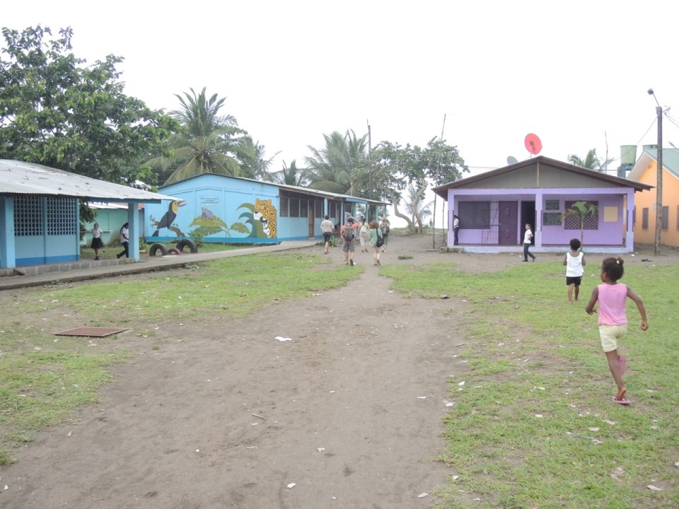 The Tortuguera School.