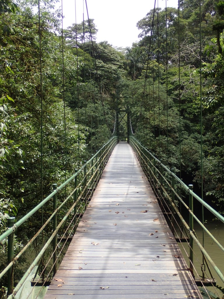 The two sides of the Sarapiqui River are accessed via this hanging bridge.