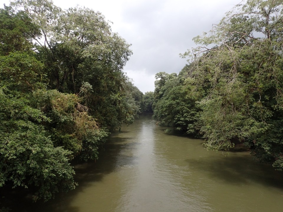 La Selva Biological Station is located along the banks of the Sarapiqui River in Costa Rica.