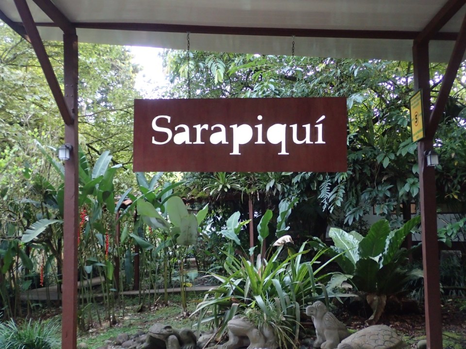 Sarapiqui