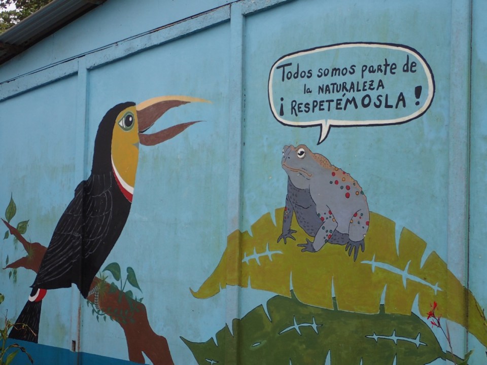 A cool mural on one of the walls of the school in Tortuguero, Costa Rica.